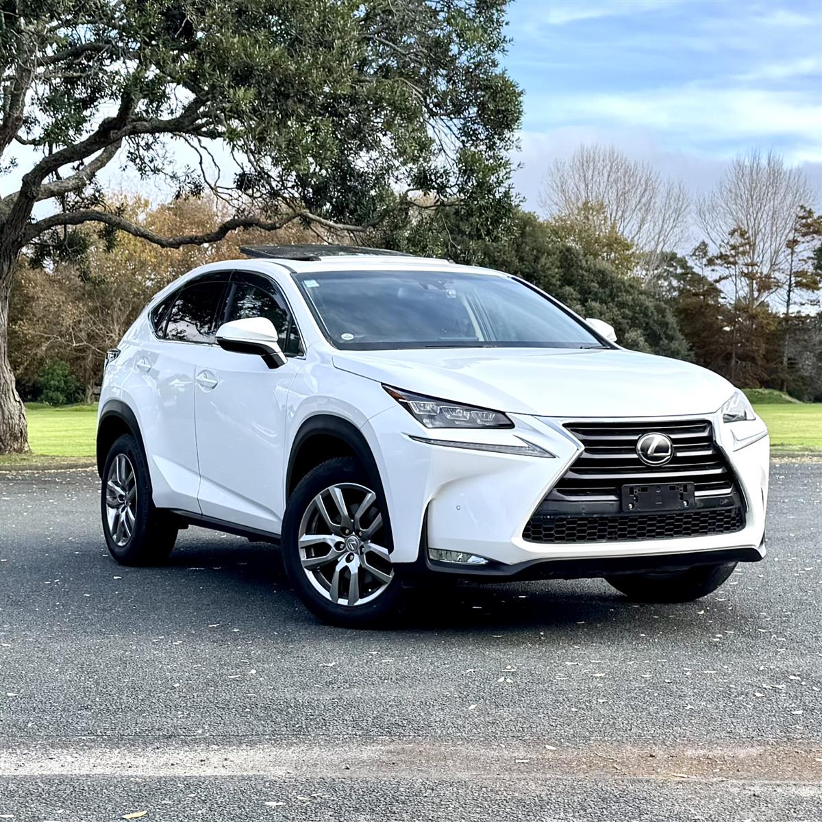 Lexus NX200t